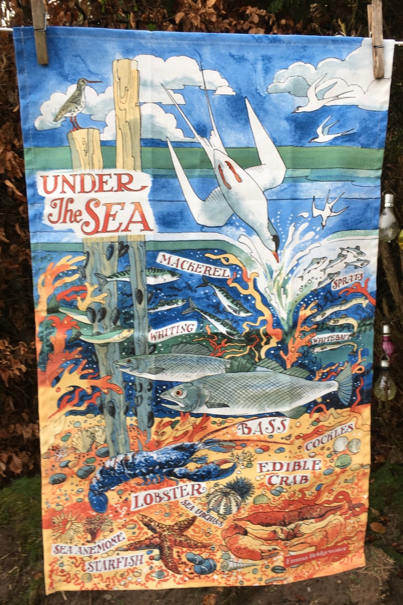 D5B1751E-A7E2-427F-A4D7-24D5558EF521