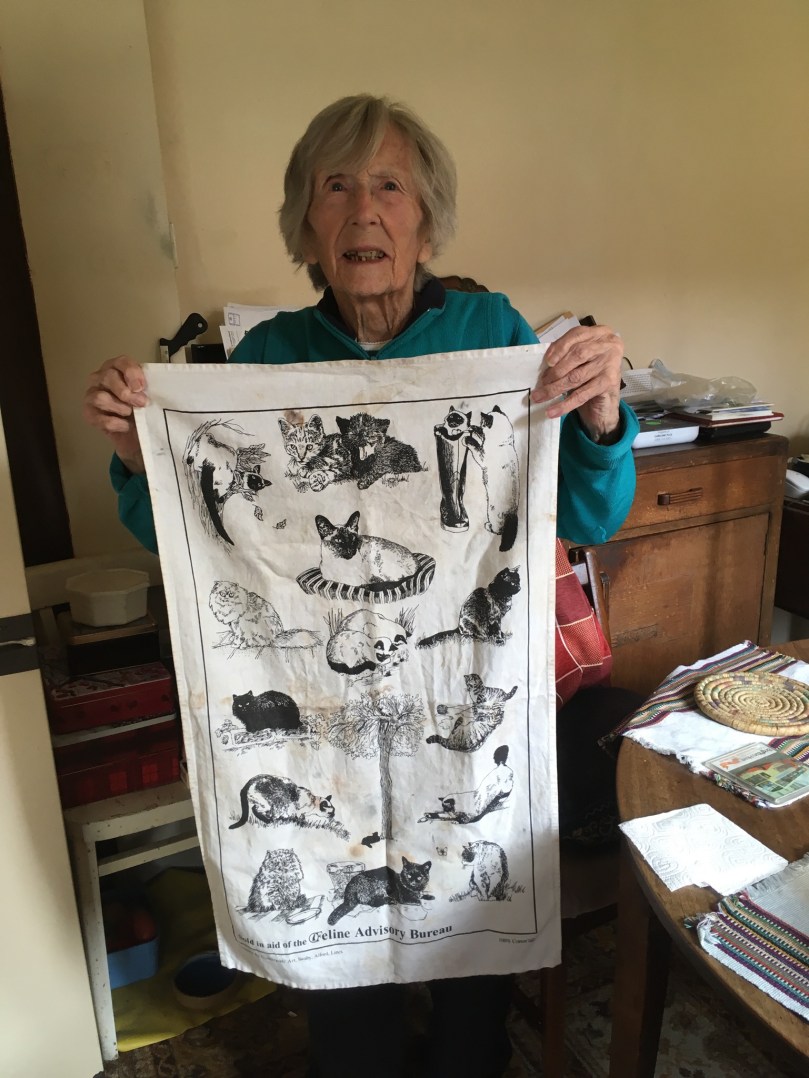 9DC7C79C-8F92-4664-A2C6-6F5AA71365CC