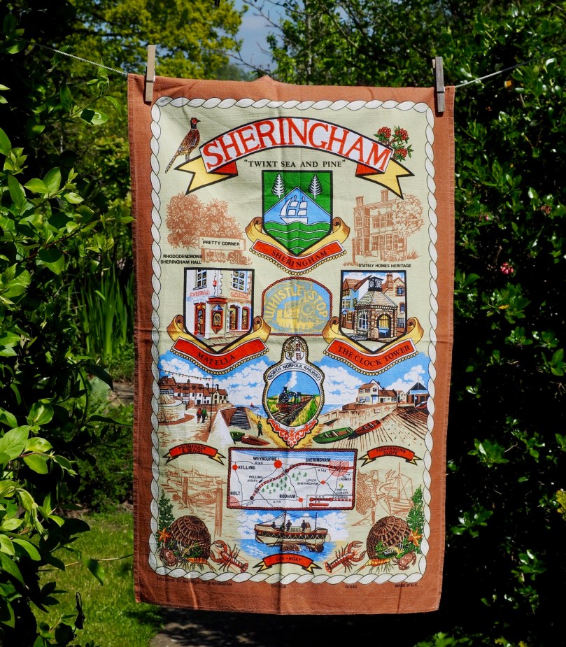 C0D60D64-EE6F-4E51-8C1A-B43879D7AEA8