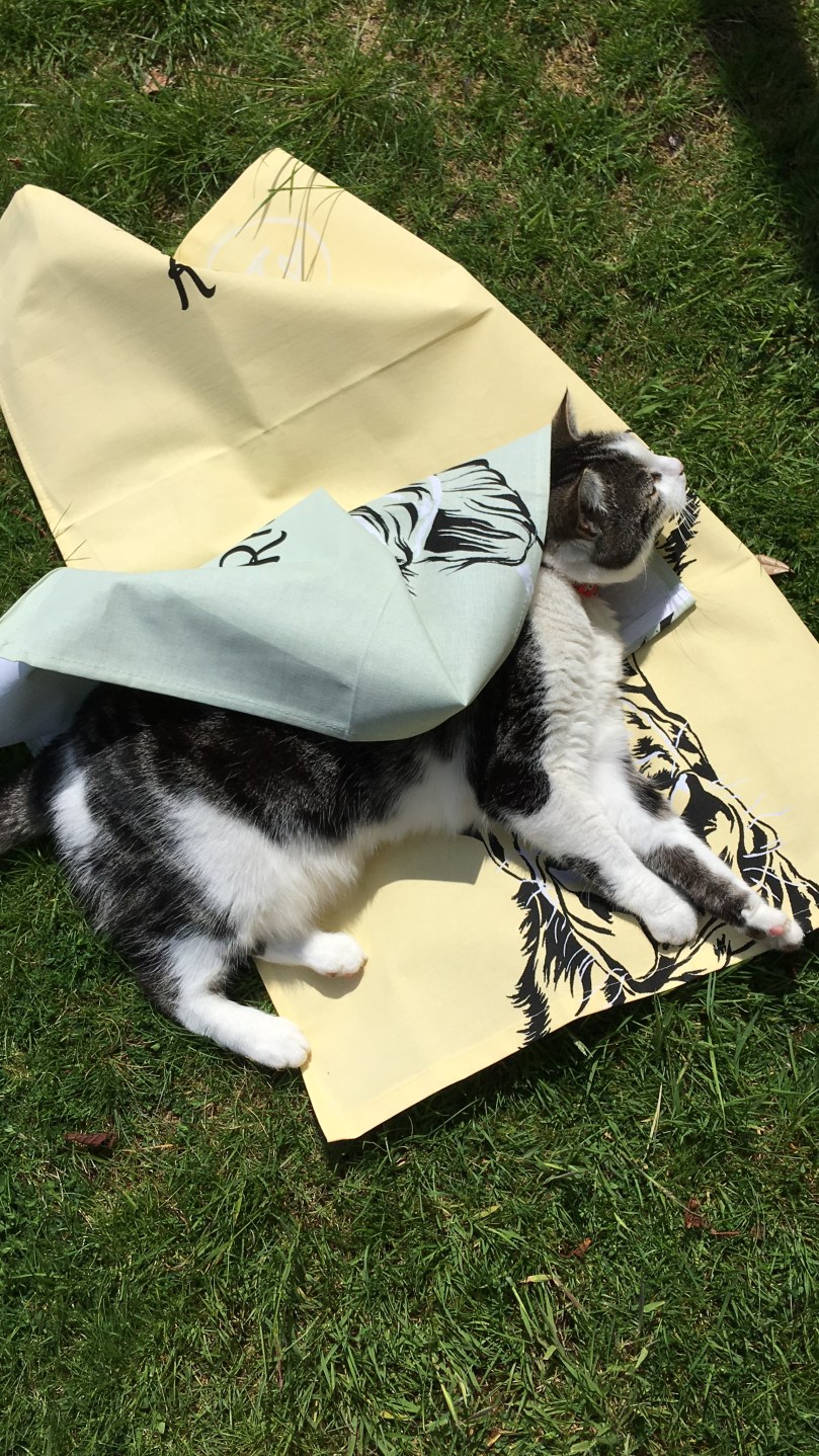 04FB711E-6395-4B8F-97E5-4AB75132138D