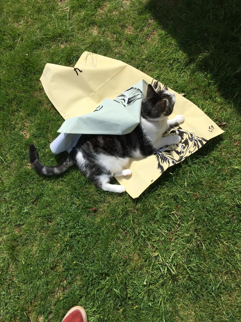 28BF4A84-F952-4408-9E7E-BCA5A8D8A5FE