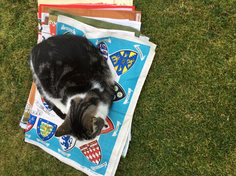 38D4F4BC-1E7E-467E-A523-EE387C2CF430