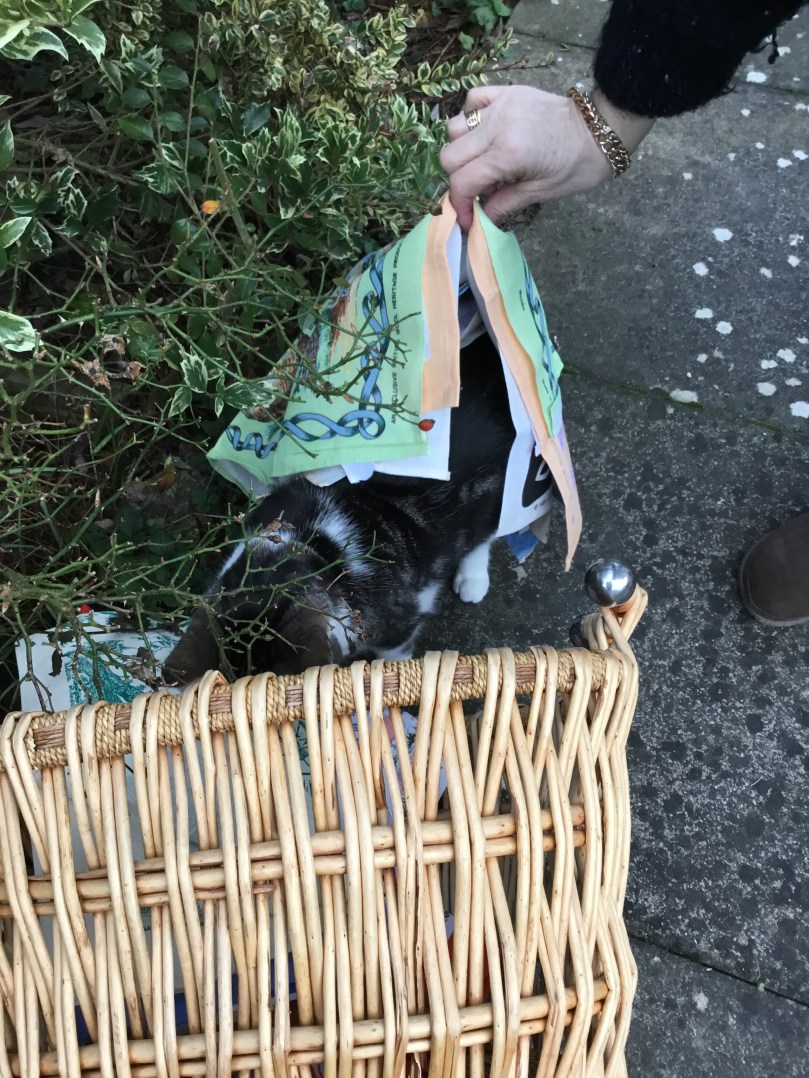 937A06D4-90BD-481F-A645-5A5EB5731AD8