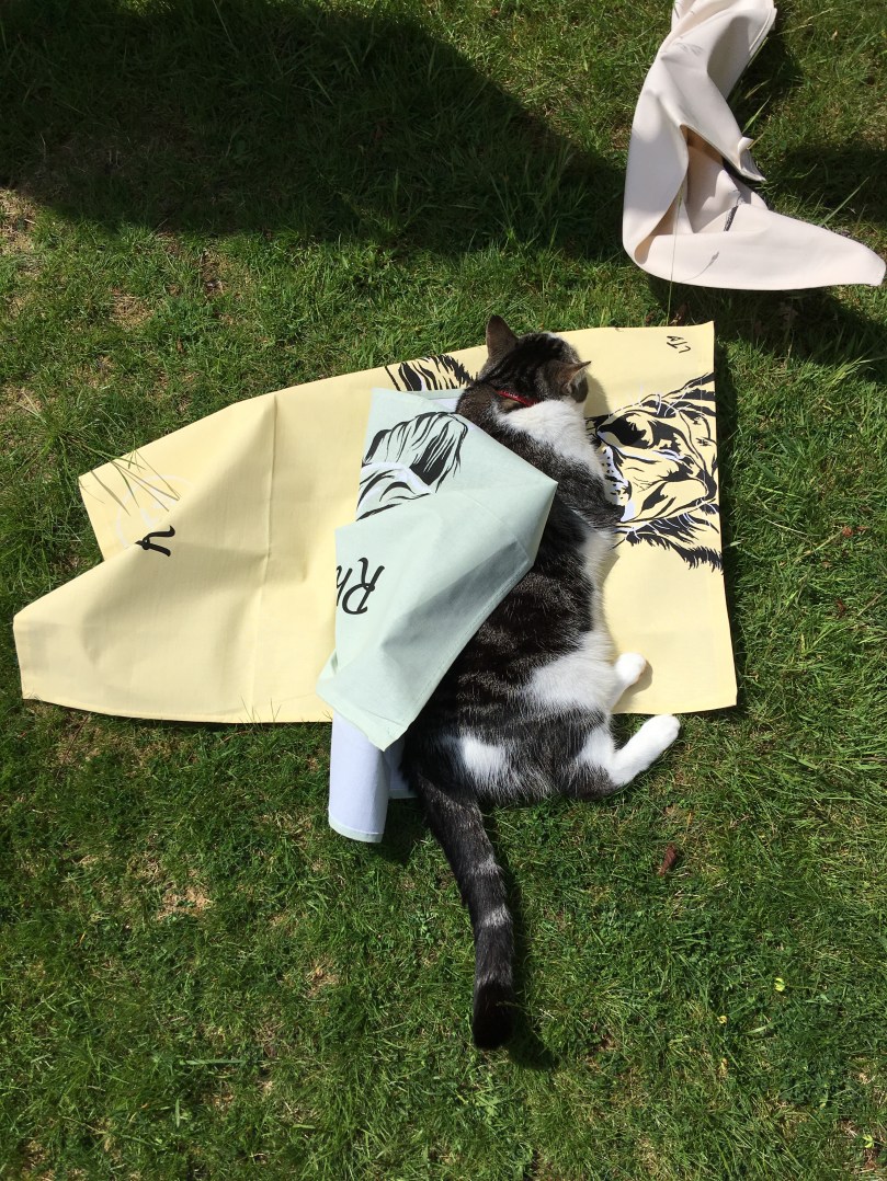 9421D111-1016-4BE5-8D8C-79221C70A232