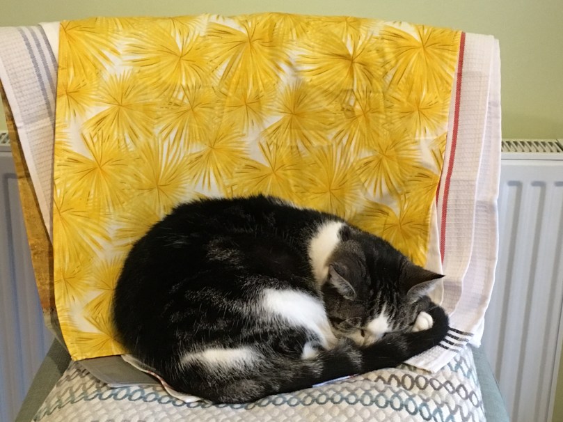 D283F611-57D4-4D5A-A1BF-37D728DBA1BE