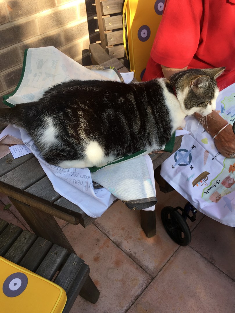 D69CCE02-3B17-4C0F-AD82-9EE1EEADDB26