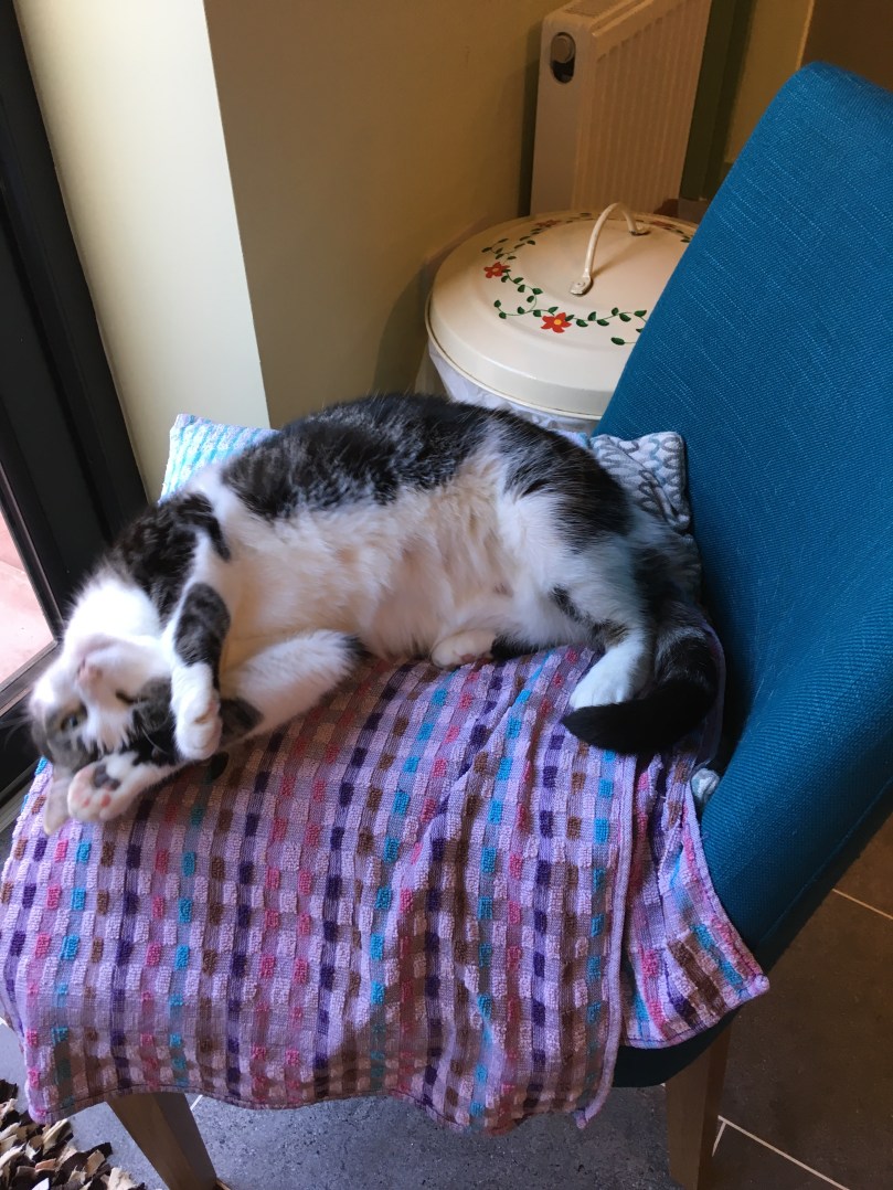 EB524BB5-A1BD-4004-A40F-C177946571BA