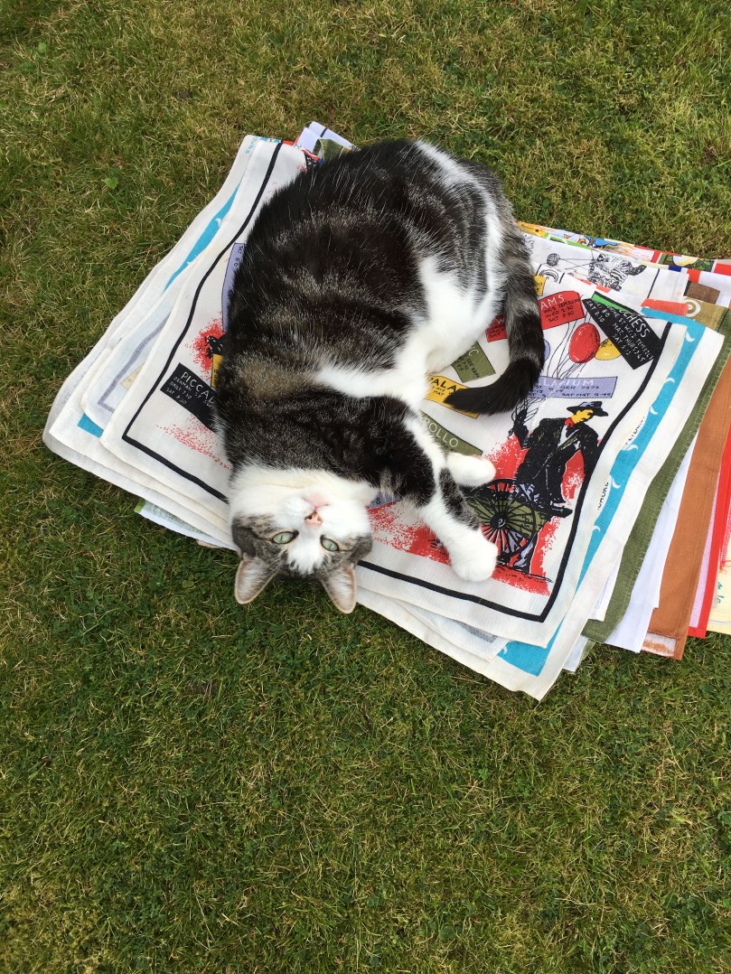 F232AC37-B7D8-49C9-83B9-35FB7A08FCBA