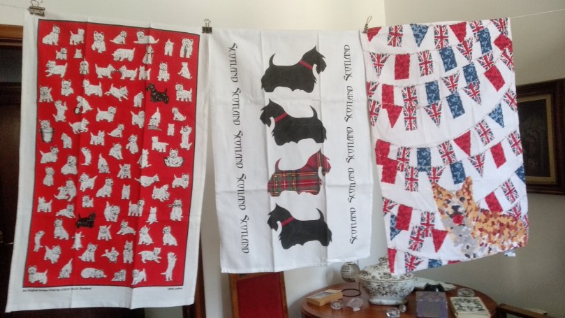 980BD407-48AC-4DEF-B940-48F82D894663