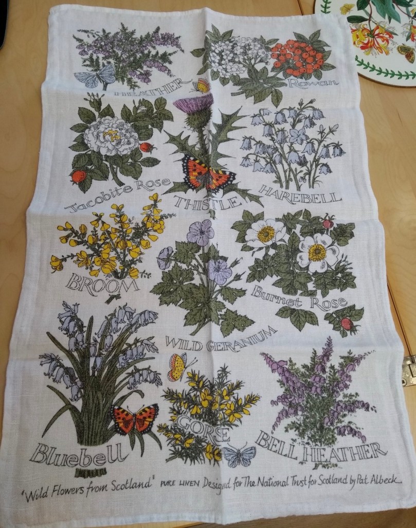 9CFCBEC3-586E-42A5-AC6A-E511DEA6DE8E