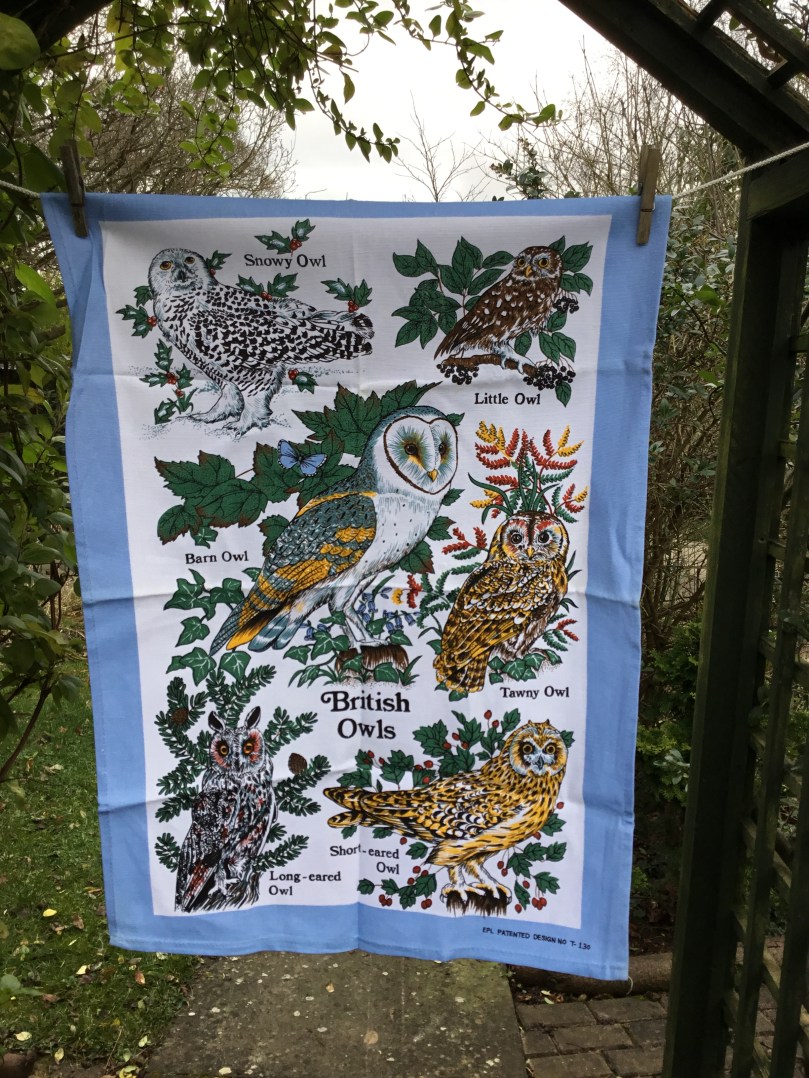 A4AAABE5-F0C6-48A8-B3DF-5259B1E8BD24