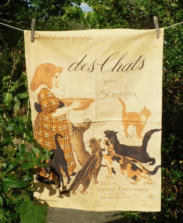 EF4C080A-0A27-470B-ADAB-B9C96EE72EEC