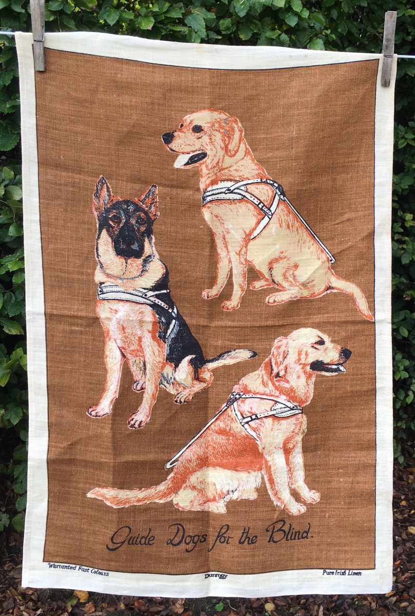 FCD4D627-708F-4980-88C5-5DDCC70D4B03