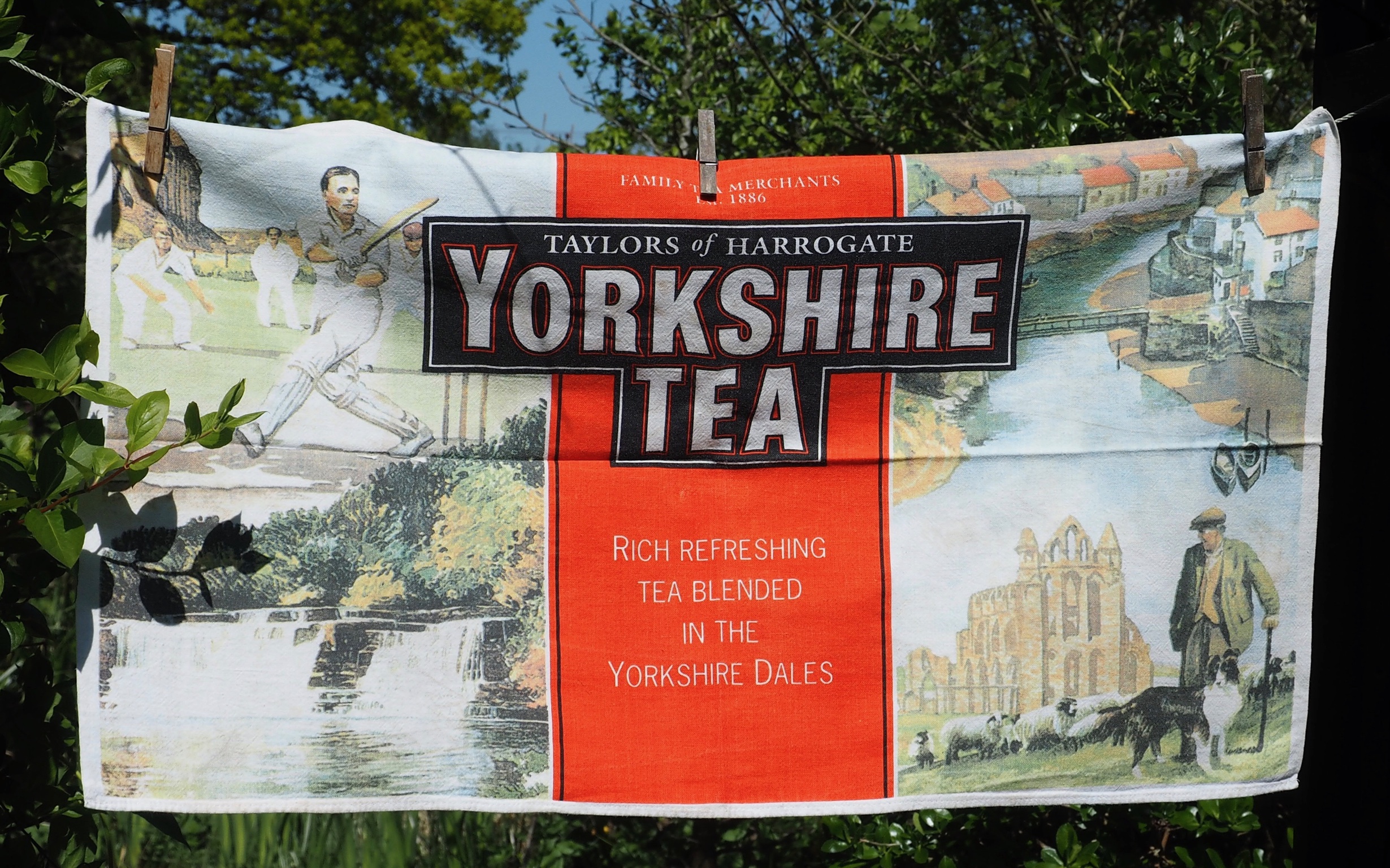 1EF1E627-7D61-4868-906E-1299B79F65DB