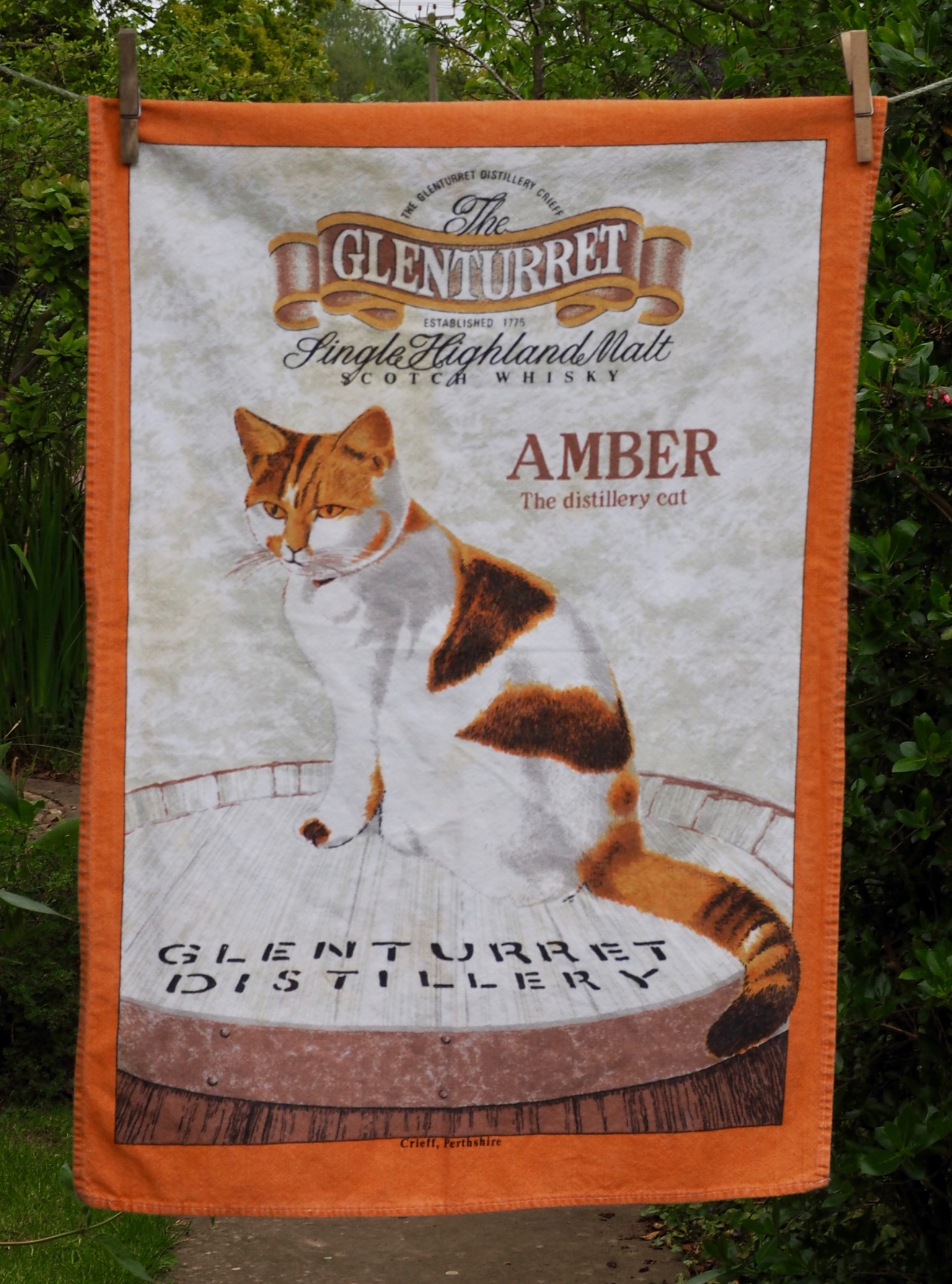 6682F642-7AAC-4245-949A-A1D1168949CE