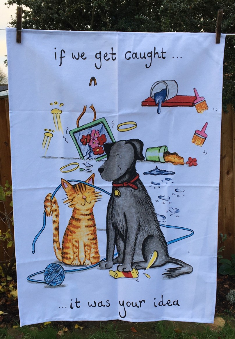 377DF1DC-367E-4FB4-87E6-94810BC046EC