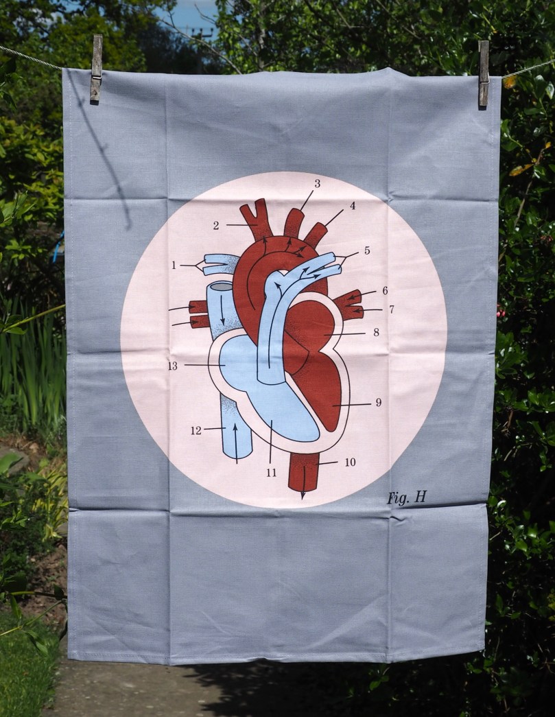 2BF28848-488F-41C0-8C6A-8565506495E7