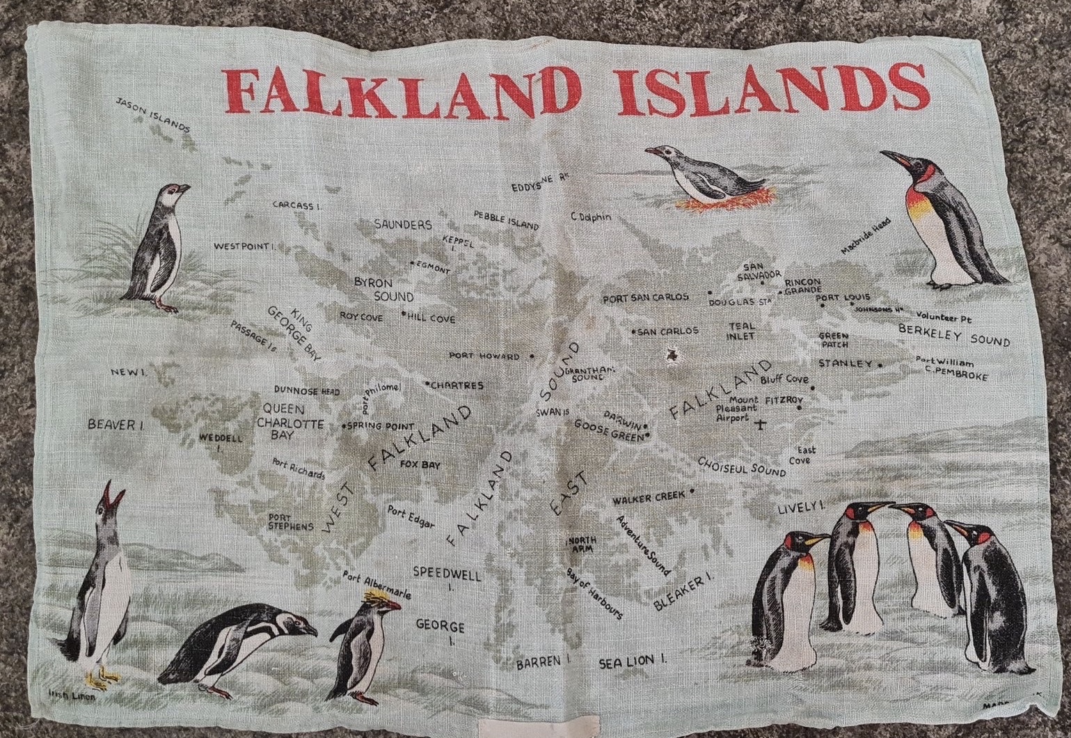 6CD5E0E5-E699-41AB-9F30-5DCA5FD0D0BE