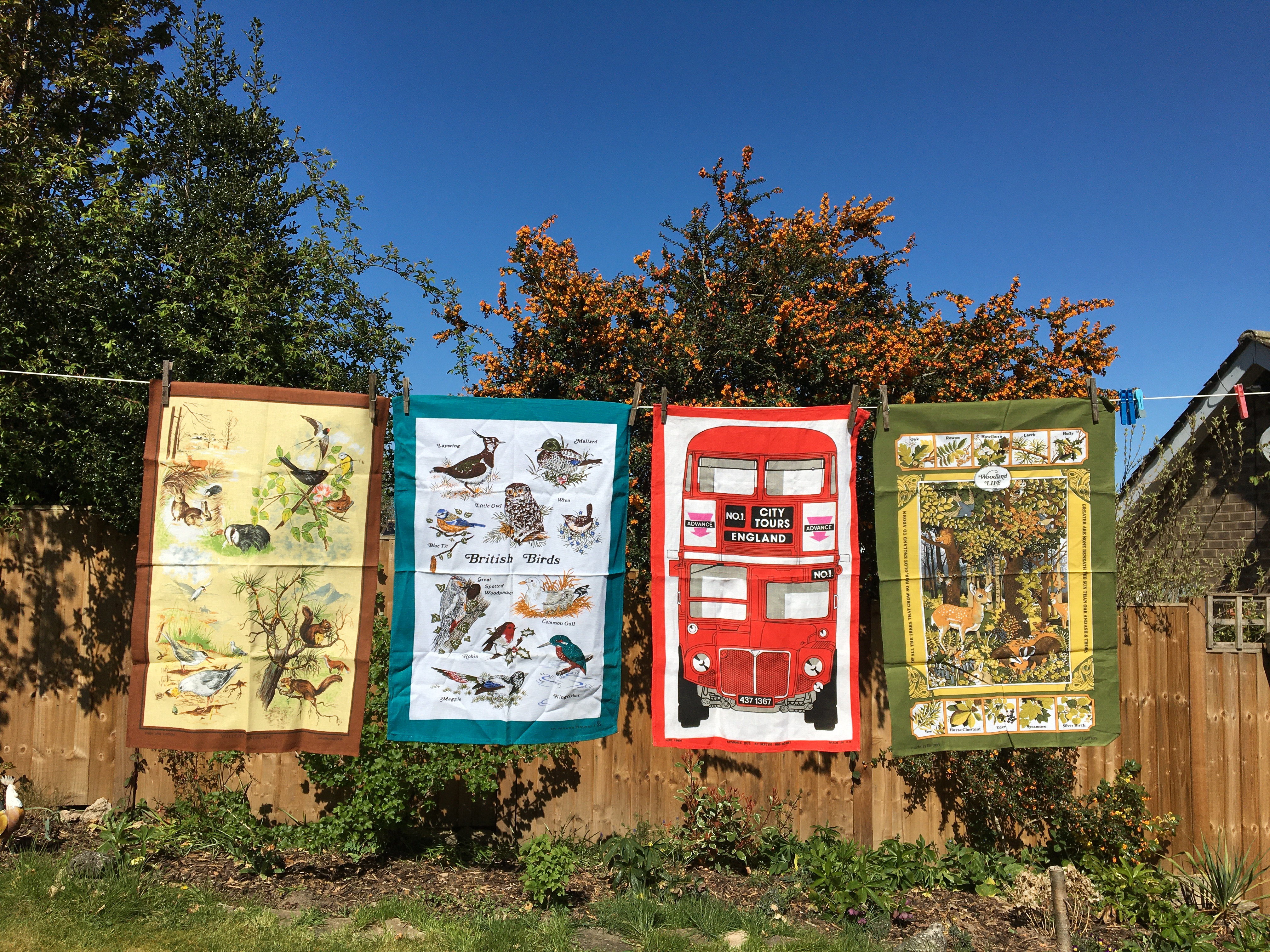 B6029FD5-1730-4E22-9732-E426E2347010