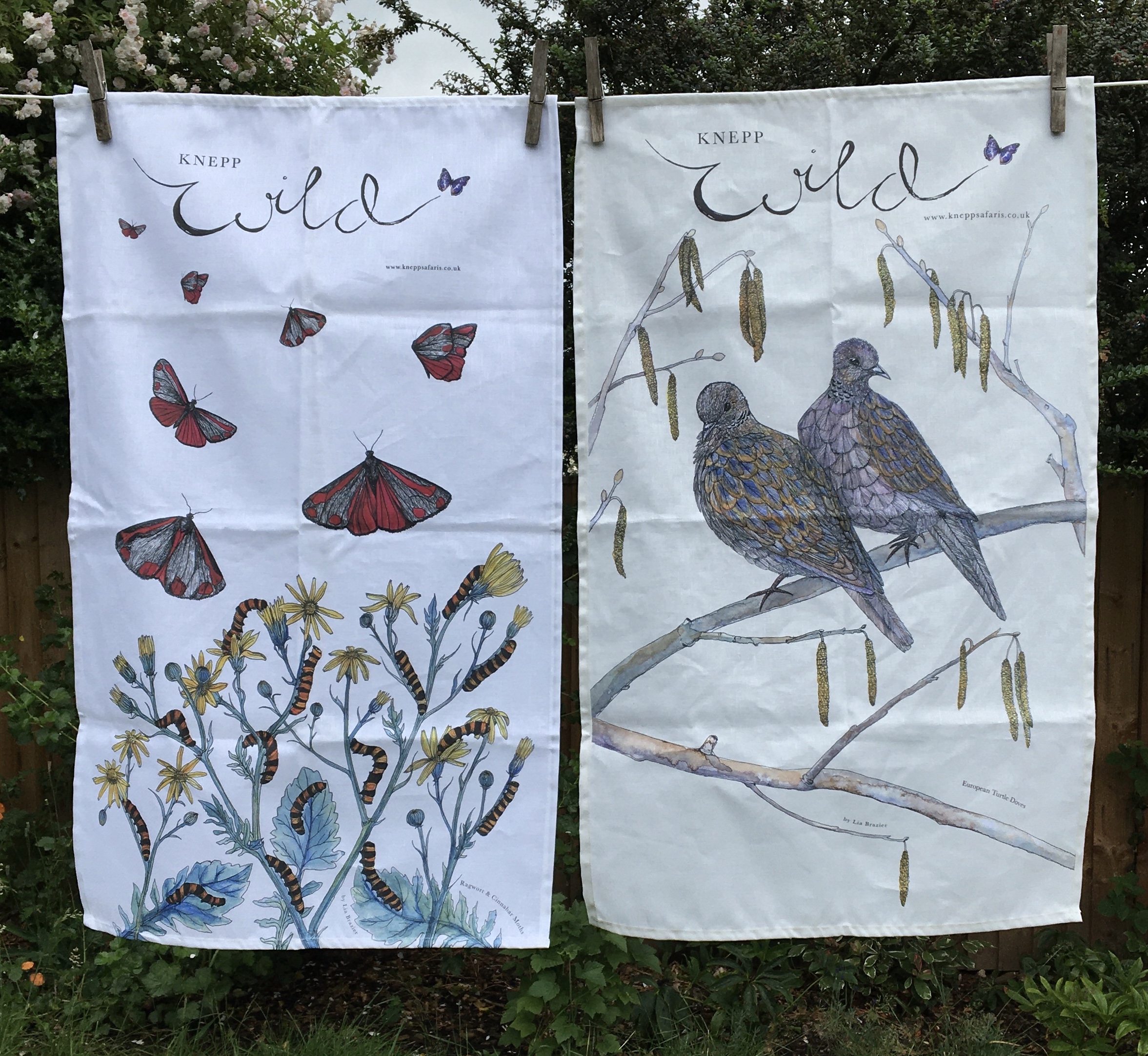 4CEAF559-E86A-499E-8422-0E717AB43AFC